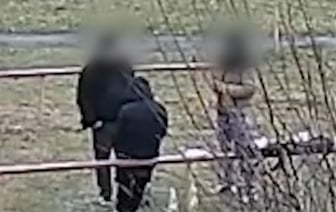 В Пинске на спортивной площадке произошёл конфликт