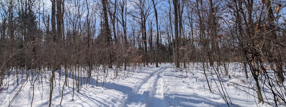 Чеки «Жилье» проиндексируют в Могилевской области