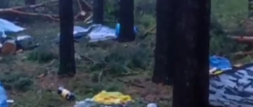 СК сообщил подробности гибели женщины из-за падения дерева