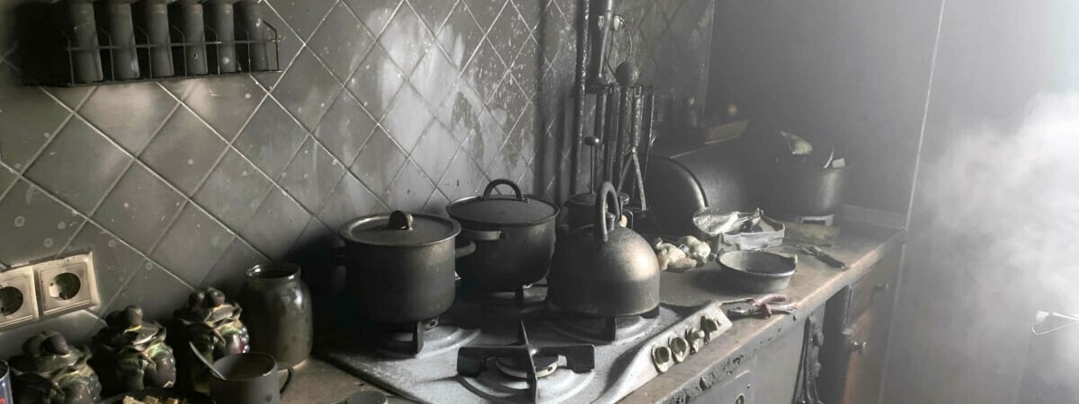 Могло хватить одного вдоха – В Слониме кот спас хозяина от пожара — Фото