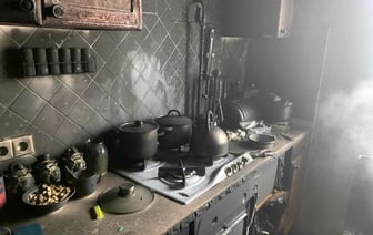 Могло хватить одного вдоха – В Слониме кот спас хозяина от пожара — Фото