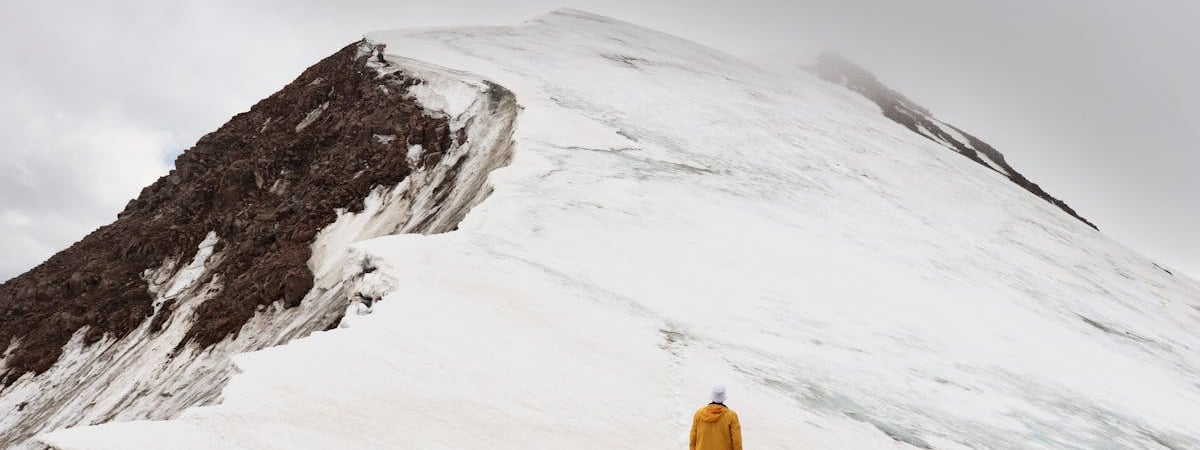 В Казахстане хотят запретить биржевых ботов