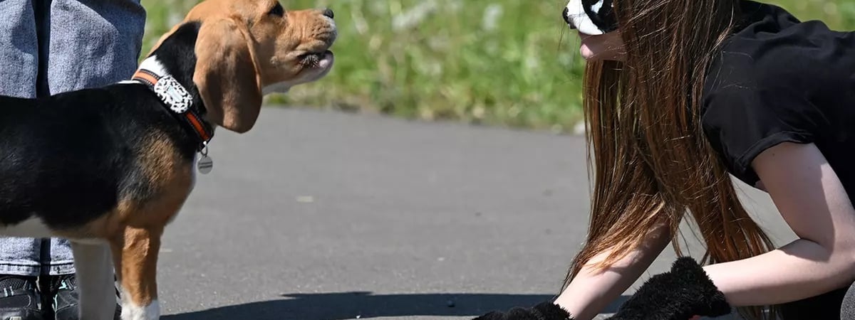 В Беларуси начали продавать корм «для истинных квадроберов». Почём и что в составе? — Фото