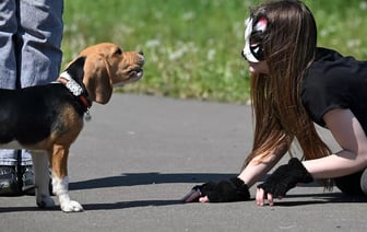 В Беларуси начали продавать корм «для истинных квадроберов». Почём и что в составе? — Фото