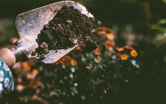 На рост ВВП Беларуси в январе повлияли потребительский спрос и строительство - ЕАБР