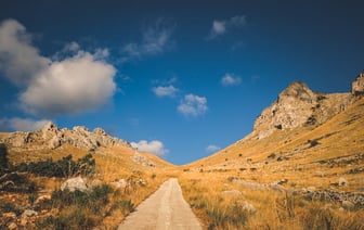 ГПК Беларуси: въезда в ЕС ожидают более 2,4 тыс. машин и 20 автобусов