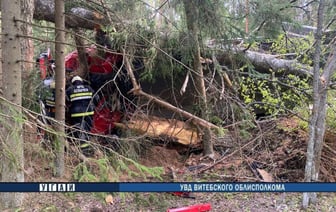 Смертельное ДТП в Полоцком районе: водитель погиб в результате аварии