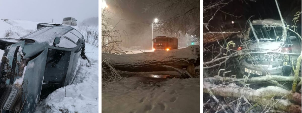 Десятки поваленных деревьев и машины в кювете. МЧС и энергетики рассказали о последствиях апрельских снегопадов — Видео