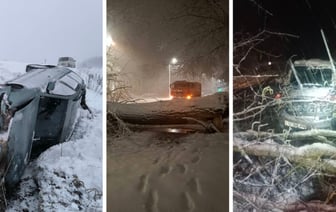 Десятки поваленных деревьев и машины в кювете. МЧС и энергетики рассказали о последствиях апрельских снегопадов — Видео