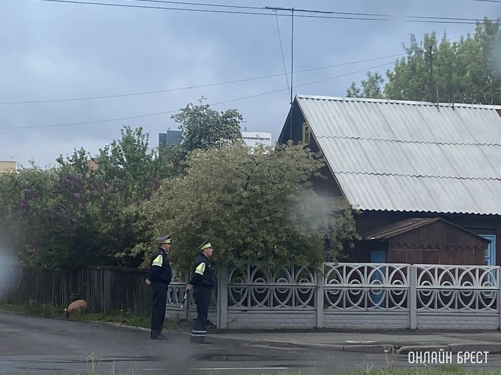 Фото носит иллюстративный характер
