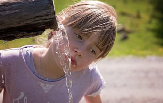 В Верхнедвинском районе лишили статуса памятников природы родник и парк