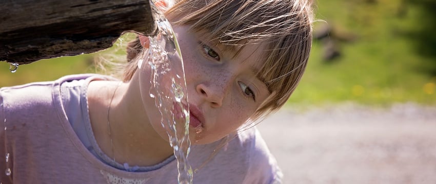 В Верхнедвинском районе лишили статуса памятников природы родник и парк