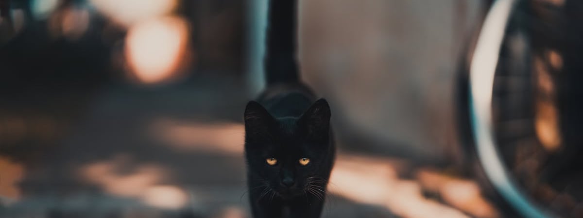 США начали использовать бомбардировщики B-2A для ударов по хуситам