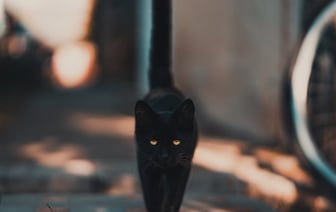 США начали использовать бомбардировщики B-2A для ударов по хуситам