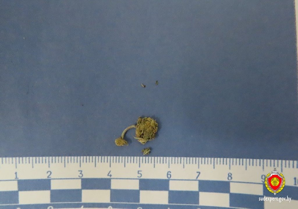 Белорус пытался избавиться от наркотиков при задержании