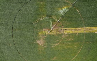 Приглашение поступить в аграрные вузы в Полоцком районе