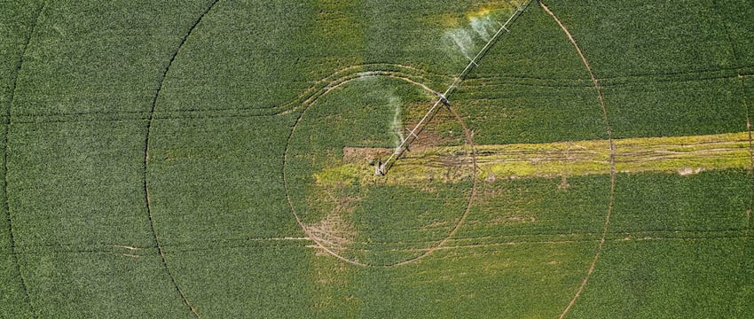 Приглашение поступить в аграрные вузы в Полоцком районе