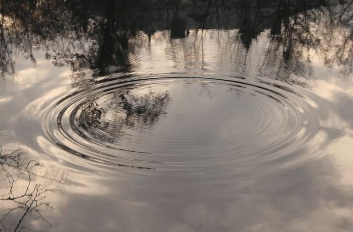 Фото из открытых источников (иллюстративное)