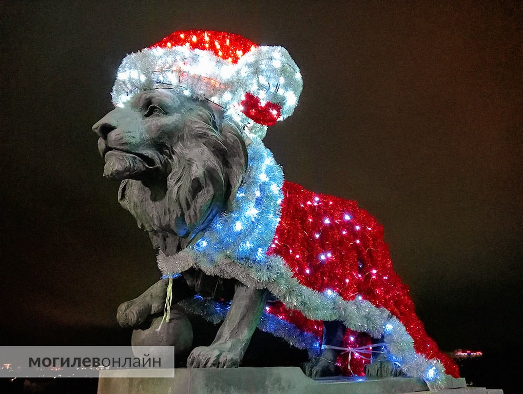 Новогодний Могилев в вечернее время — отдельный вид искусства. Посмотрите, как нарядно выглядит город