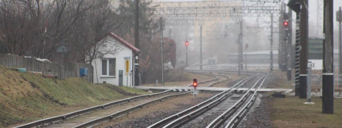 В Беларуси появилась новая профессия — что нужно делать
