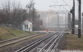 В Беларуси появилась новая профессия — что нужно делать
