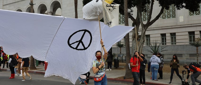 “Пойду, пойду”… Лукашенко заявил, что пойдет на выборы в 2025 году