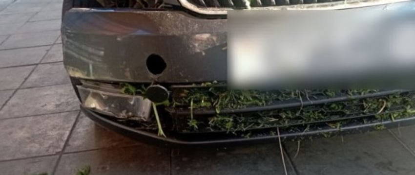 Пьяный мужчина нашел незапертую машину во дворе частного дома и угнал ее - случай в Брестской области