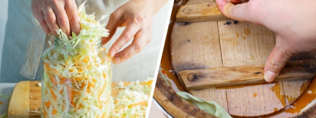 Сколько дней квасится капуста? Эти 2 способа позволят наслаждаться заготовкой в течение года — Полезно