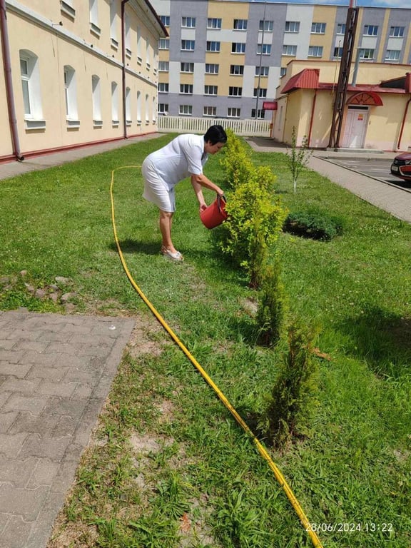 В Бресте объявлена экологическая акция «Полей дерево»