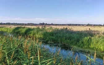 Глубина трагедий: на водохранилище в Барановичах очевидцы спасли пенсионера, в Малоритском районе обнаружили погибшего мужчину