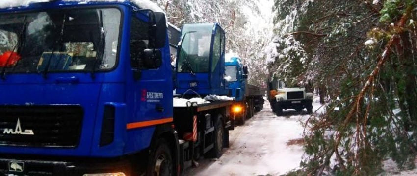 195 населенных пунктов Брестской области остались без света