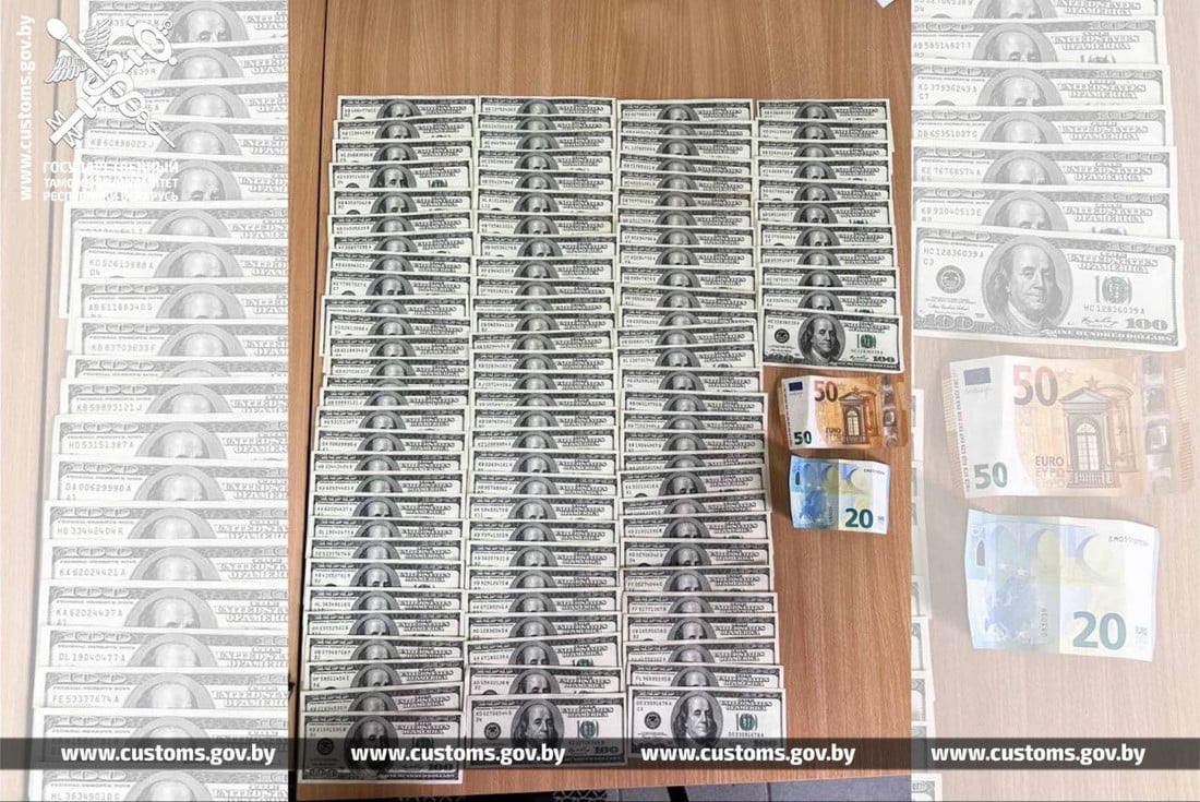 Белорус раздал восьми пассажирам по $10 тысяч перед границей. Заработал уголовку