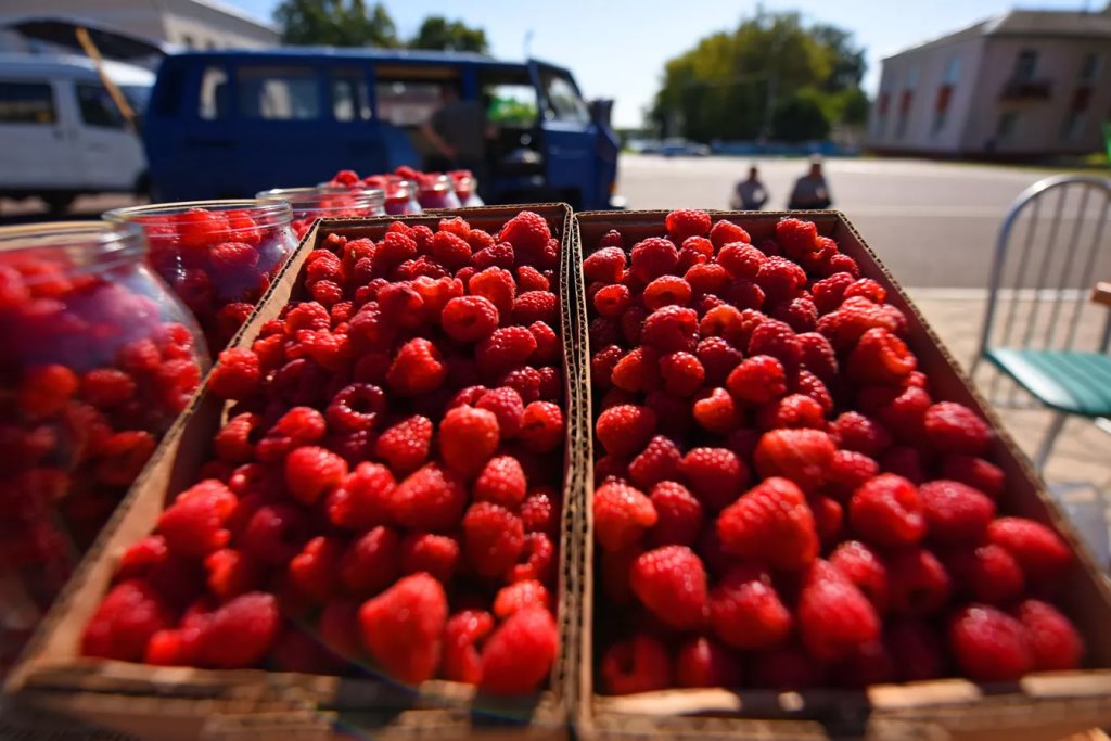 Sputnik / Мария Амелина