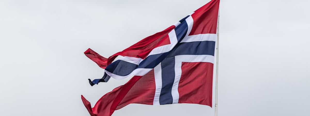 Норвегия раскритиковала решение Финляндии выйти из договора о запрете противопехотных мин