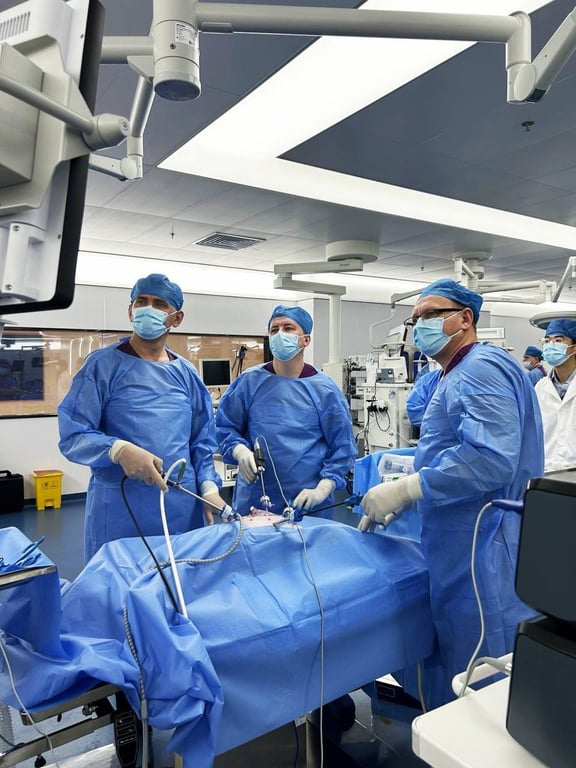 Брестские врачи отработали практические навыки эндоскопической хирургии в Китае