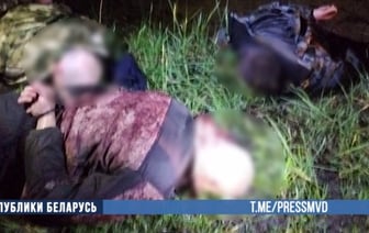 Арестованы подозреваемые в кражах грузов из фур в Орше