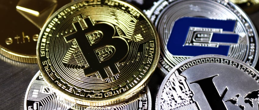 Социальные скидки продлили в торговых сетях Беларуси. Сколько можно сэкономить?