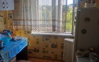 Женщина выбросила чихуахуа из окна 9-го этажа в Солигорске