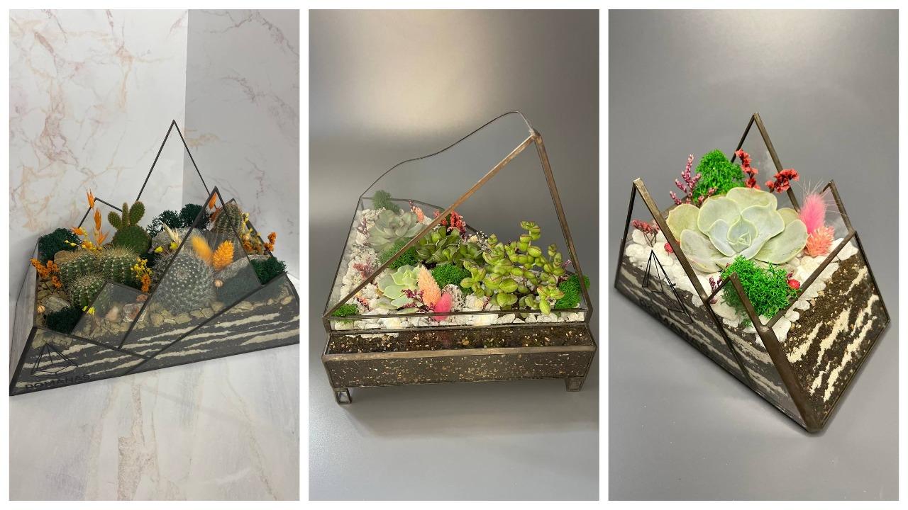 «Каждую неделю дарил жене кактусы, а потом — запустил бизнес». Посмотрите, какие флорариумы делает этот белорус