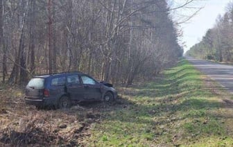 Водитель из Бреста на Ford врезался в дерево