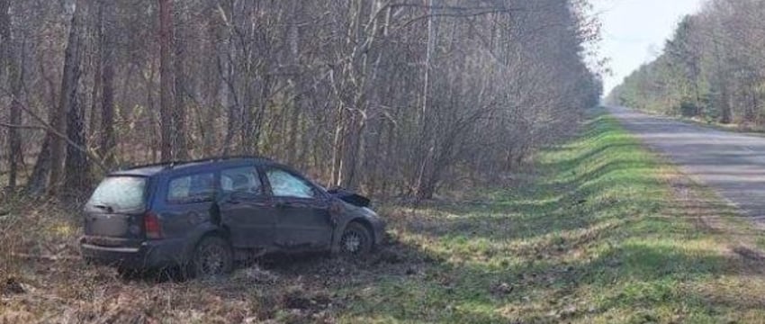 Водитель из Бреста на Ford врезался в дерево