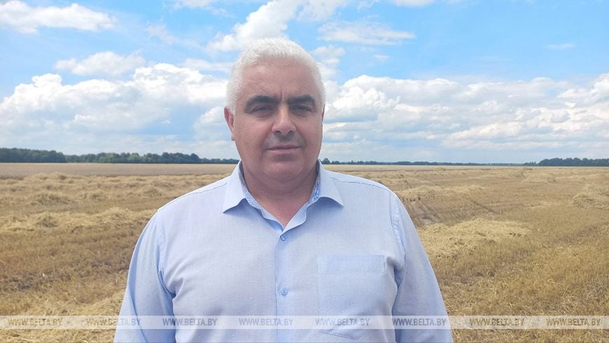 «Так рано жатву еще не начинали». Репортаж из Брестской области
