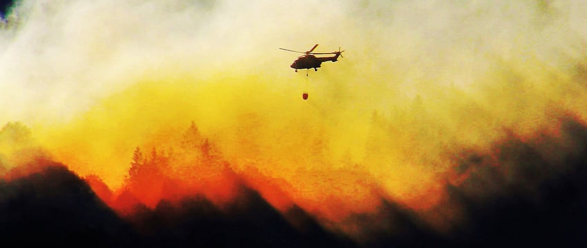 Ходить в лес запретили еще в одном районе Витебской области. Лесные пожары были уже в трех районах