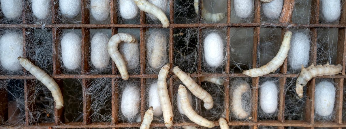 Лукашенко хочет победить китайский импорт «японским» уровнем качества отечественных товаров