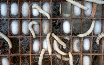 Лукашенко хочет победить китайский импорт «японским» уровнем качества отечественных товаров