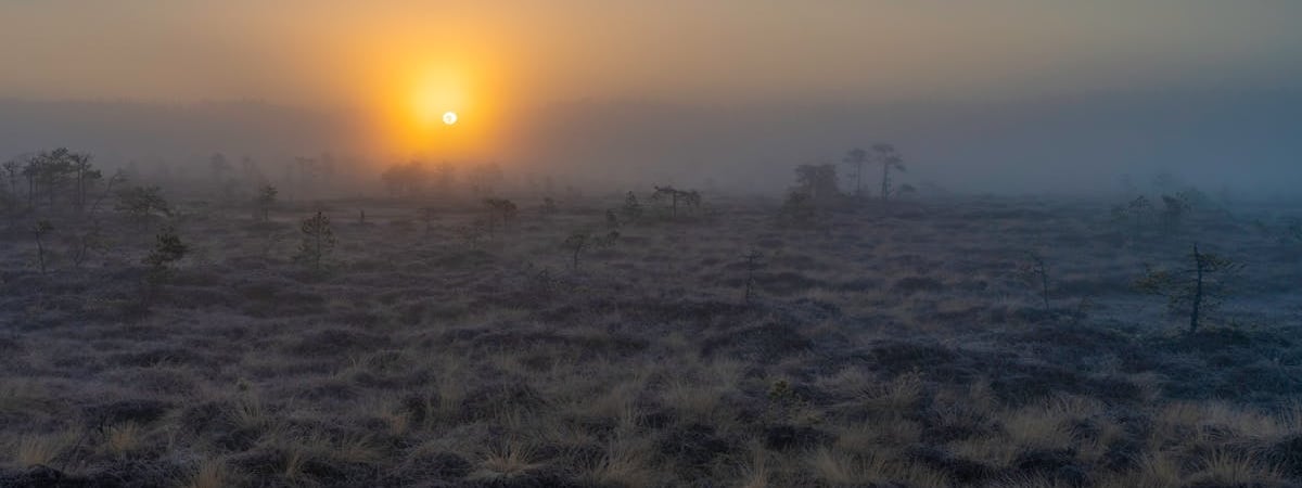 Эстония на три дня закроет границу с Россией из-за учений