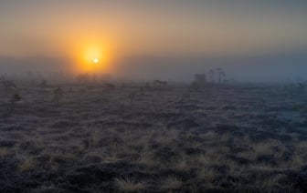 Эстония на три дня закроет границу с Россией из-за учений
