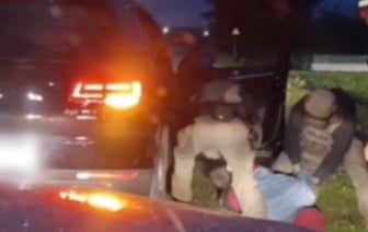 Два белоруса выращивали в лесу коноплю — видео задержания