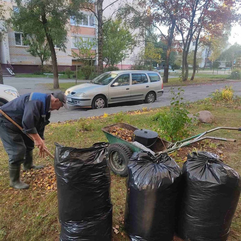Жители микрорайона Речица показали, как наводят порядок около своего дома