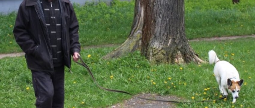 Для белорусских пенсионеров хотят ввести новую льготу